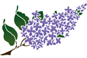 Branche de lilas - pochoirs avec des éléments de jardin