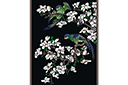 Perroquets sur magnolia - pochoirs de style oriental