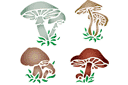 Différents champignons - pochoirs avec des éléments de jardin