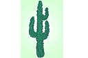 Cactus - pochoirs latino-américains